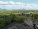faunaflora