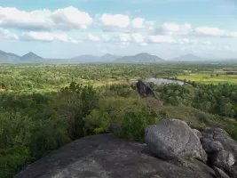 faunaflora