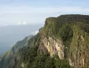 faunaflora
