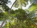 faunaflora