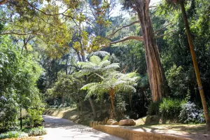 faunaflora