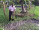 biorijstproject
