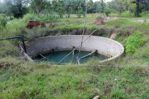 biorijstproject biorijstproject