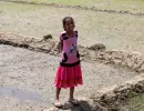 biorijstproject