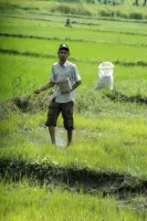 biorijstproject biorijstproject