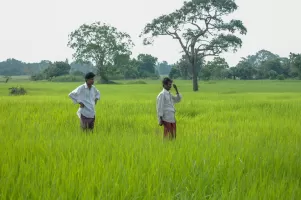 biorijstproject biorijstproject