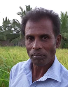 Hemapala